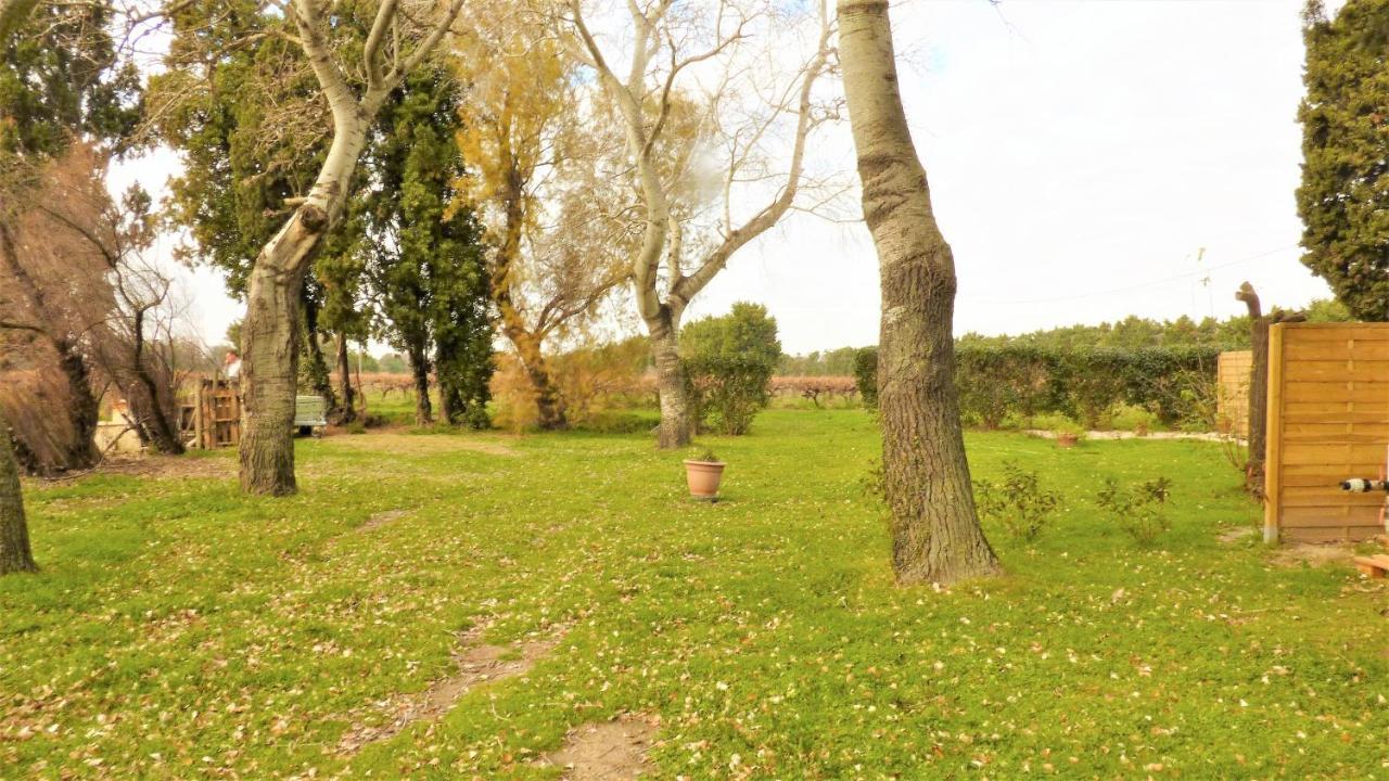 아흘르 Mas Des Cypres, Clim - Jardin En Camargue 빌라 외부 사진
