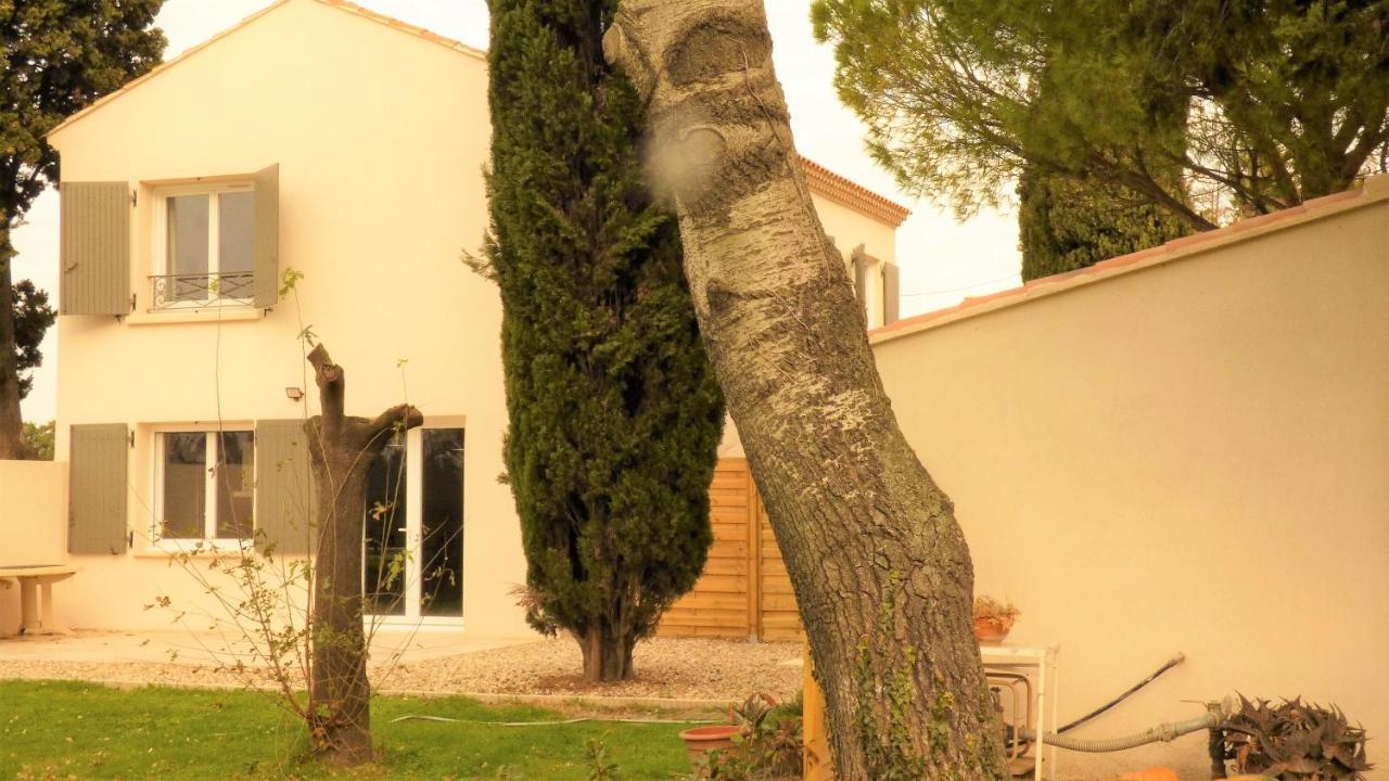 아흘르 Mas Des Cypres, Clim - Jardin En Camargue 빌라 외부 사진